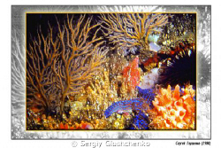 Sea of Japan hav'nt on the list??? by Sergiy Glushchenko 